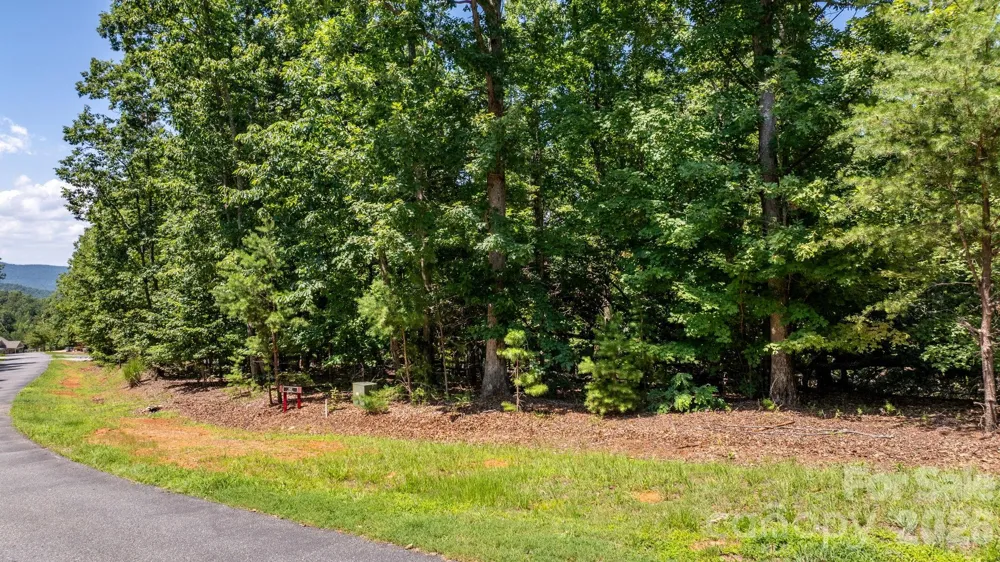 152 Woodgate Trail #95 Nebo, NC 28761