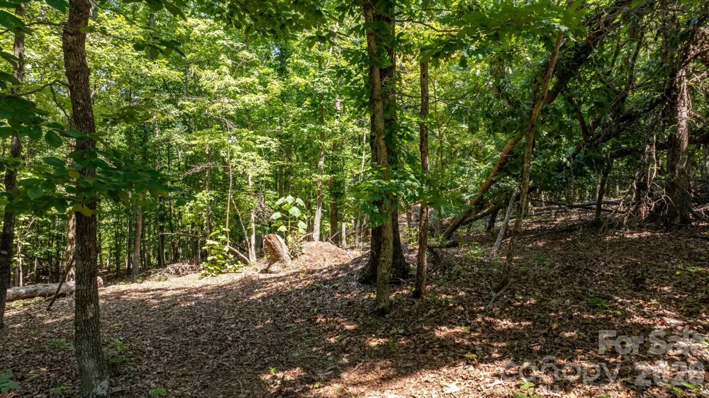 152 Woodgate Trail #95 Nebo, NC 28761