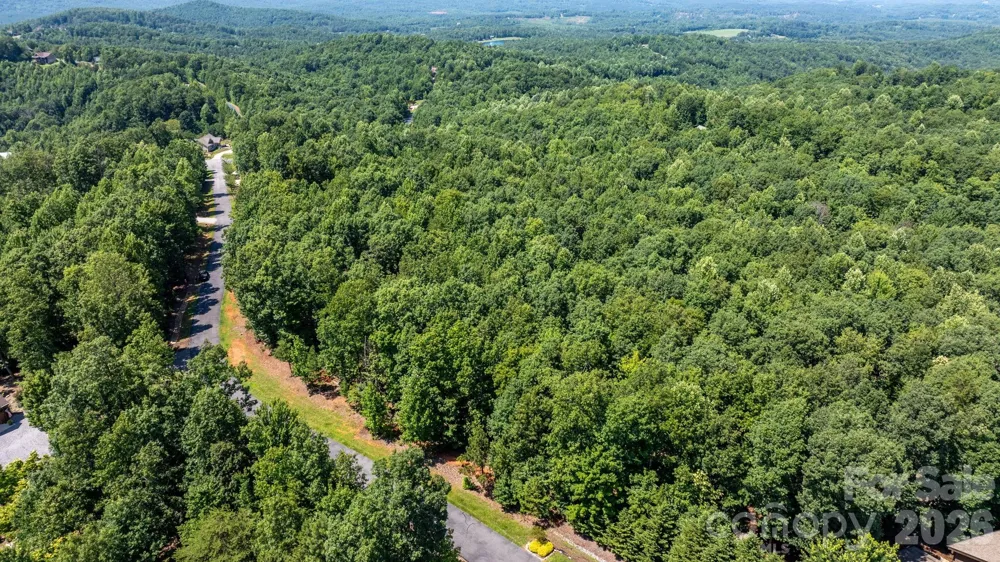 152 Woodgate Trail #95 Nebo, NC 28761