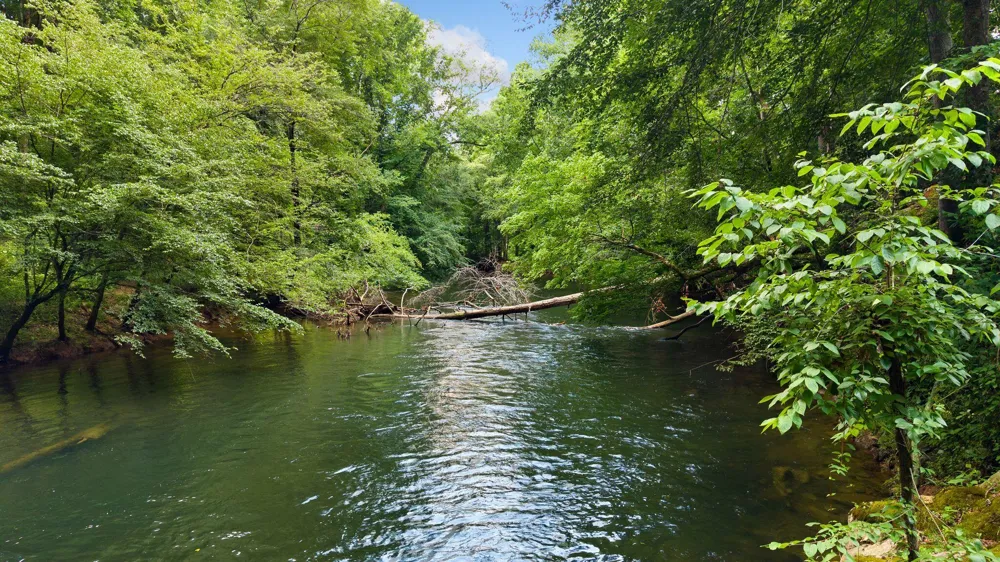 800 Reynolds Bridge Road Benton, TN 37307