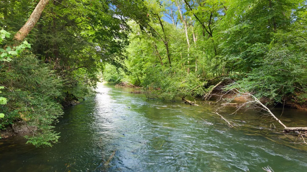 800 Reynolds Bridge Road Benton, TN 37307