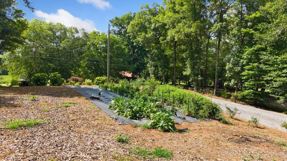 800 Reynolds Bridge Road Benton, TN 37307