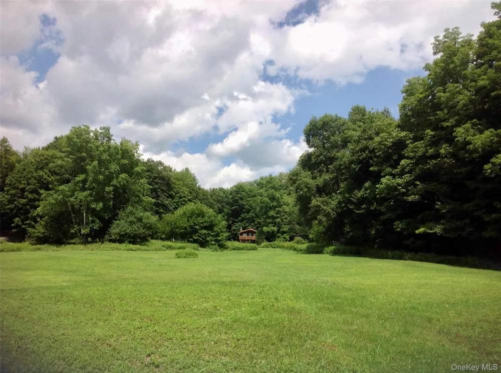 66 Milton Smith Road Long Eddy, NY 12760
