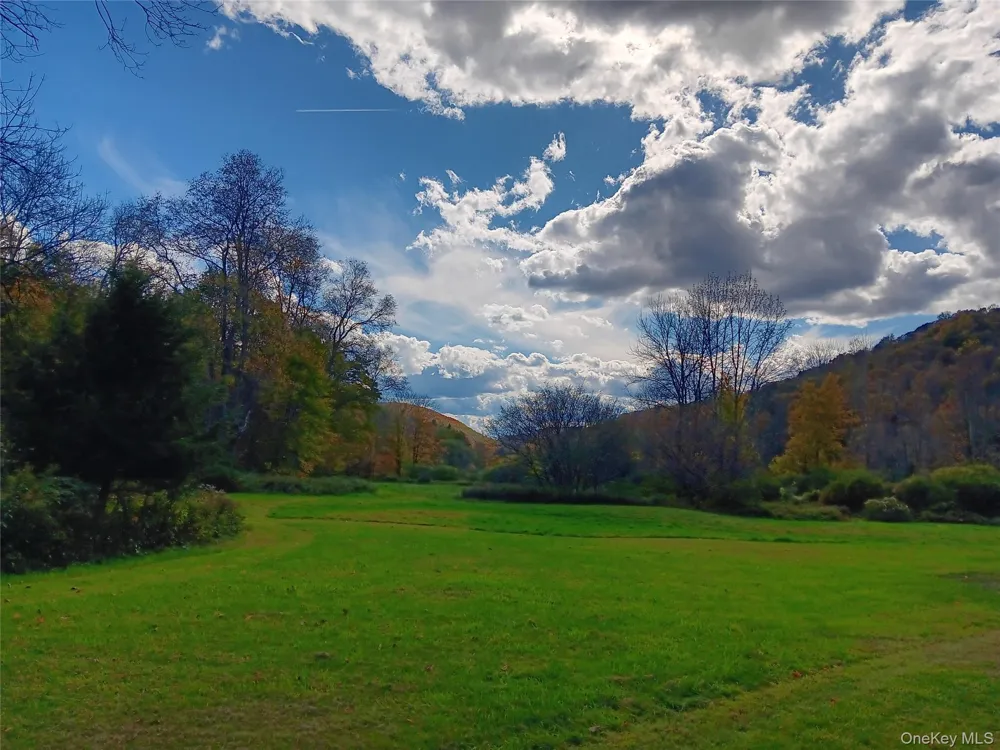 66 Milton Smith Road Long Eddy, NY 12760