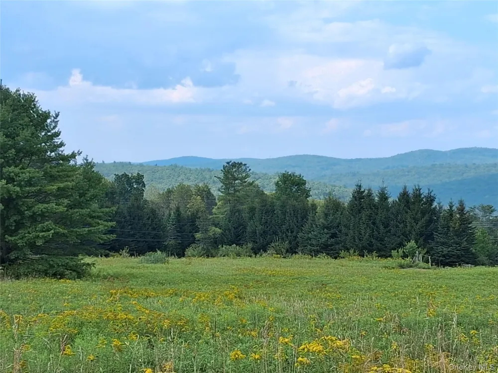 66 Milton Smith Road Long Eddy, NY 12760