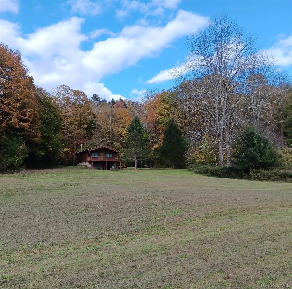 66 Milton Smith Road Long Eddy, NY 12760