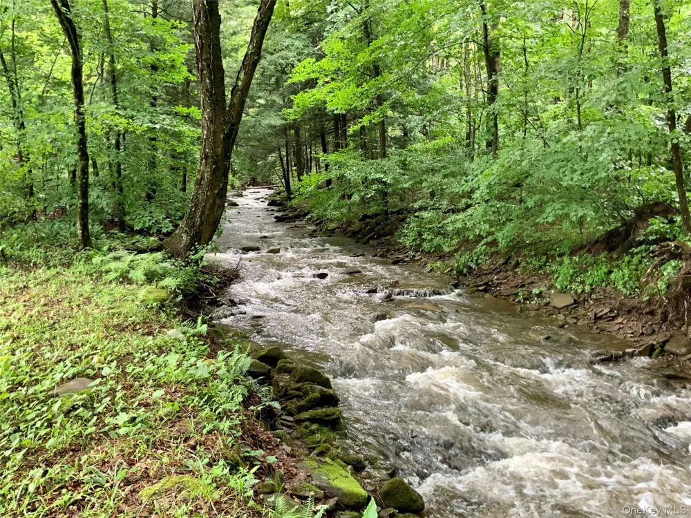 66 Milton Smith Road Long Eddy, NY 12760