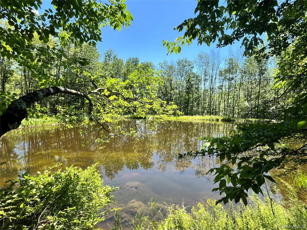 Upper Pond Dahlia Road W Livingston Manor, NY 12758