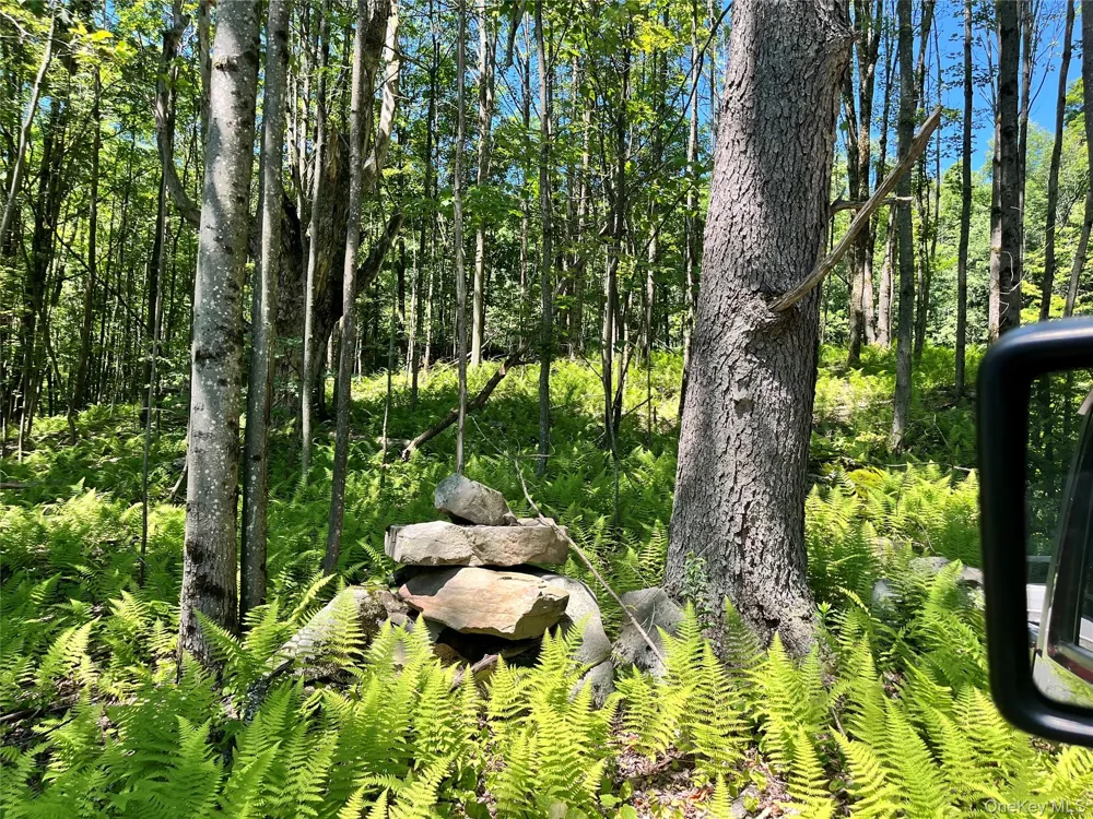 Upper Pond Dahlia Road W Livingston Manor, NY 12758