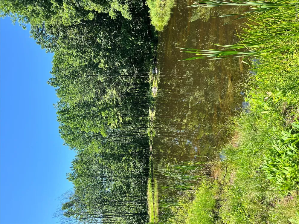 Upper Pond Dahlia Road W Livingston Manor, NY 12758