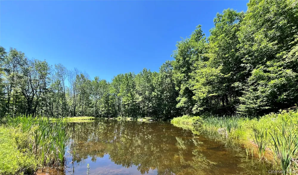 Upper Pond Dahlia Road W Livingston Manor, NY 12758