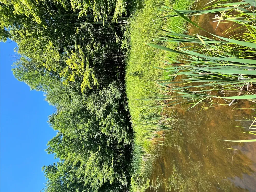 Upper Pond Dahlia Road W Livingston Manor, NY 12758