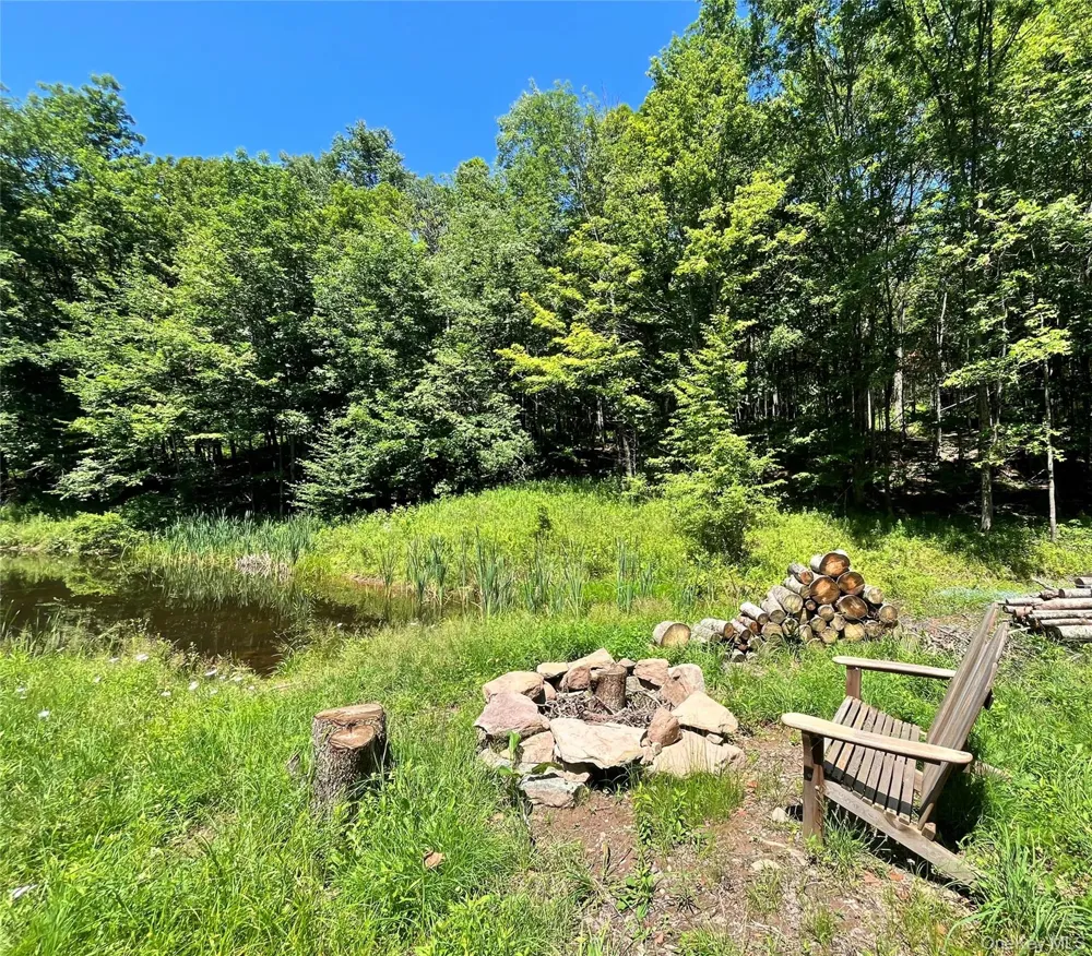 Upper Pond Dahlia Road W Livingston Manor, NY 12758