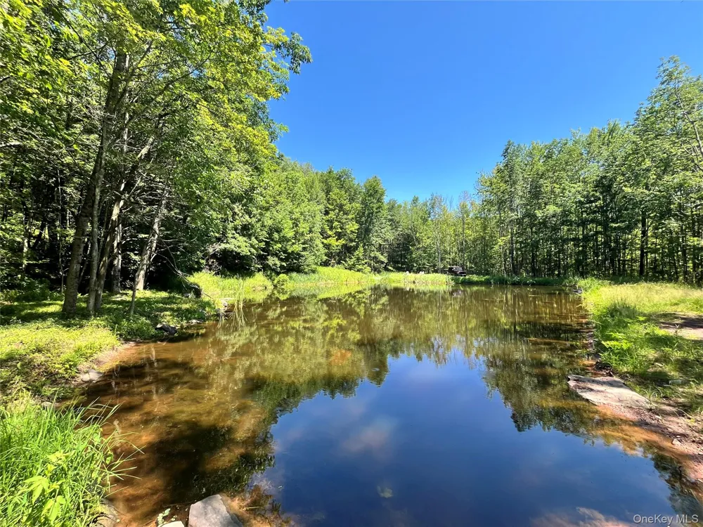 Upper Pond Dahlia Road W Livingston Manor, NY 12758