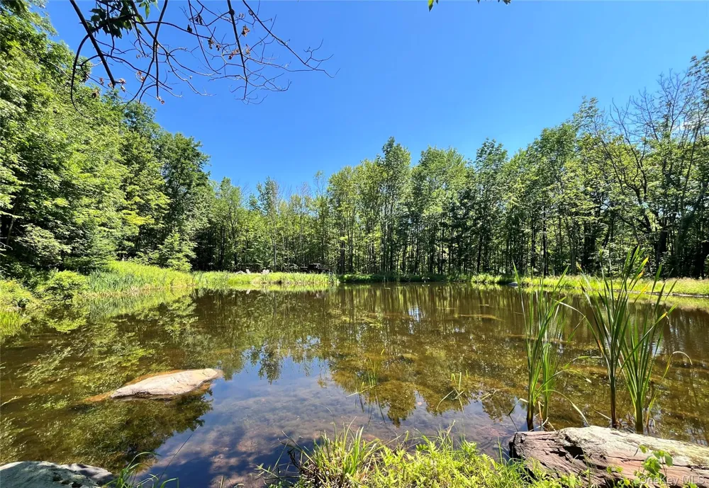 Upper Pond Dahlia Road W Livingston Manor, NY 12758