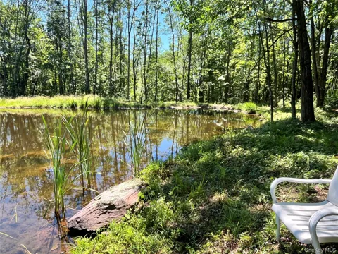 Upper Pond Dahlia Road W