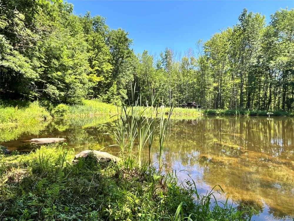 Upper Pond Dahlia Road W Livingston Manor, NY 12758