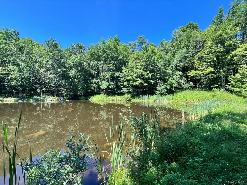 Upper Pond Dahlia Road W Livingston Manor, NY 12758