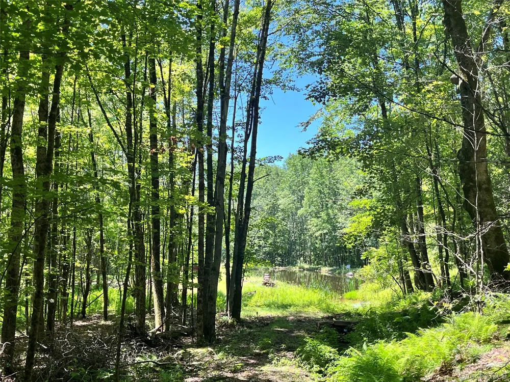 Upper Pond Dahlia Road W Livingston Manor, NY 12758