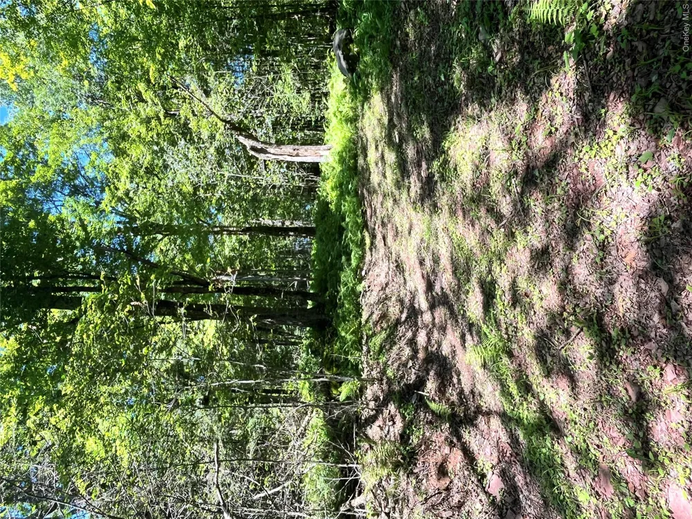 Upper Pond Dahlia Road W Livingston Manor, NY 12758