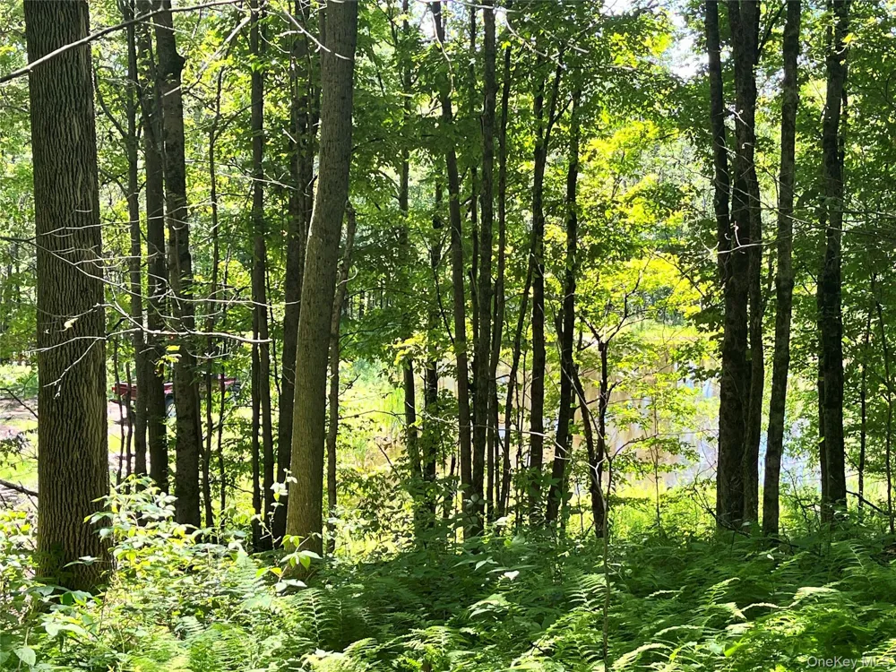 Upper Pond Dahlia Road W Livingston Manor, NY 12758