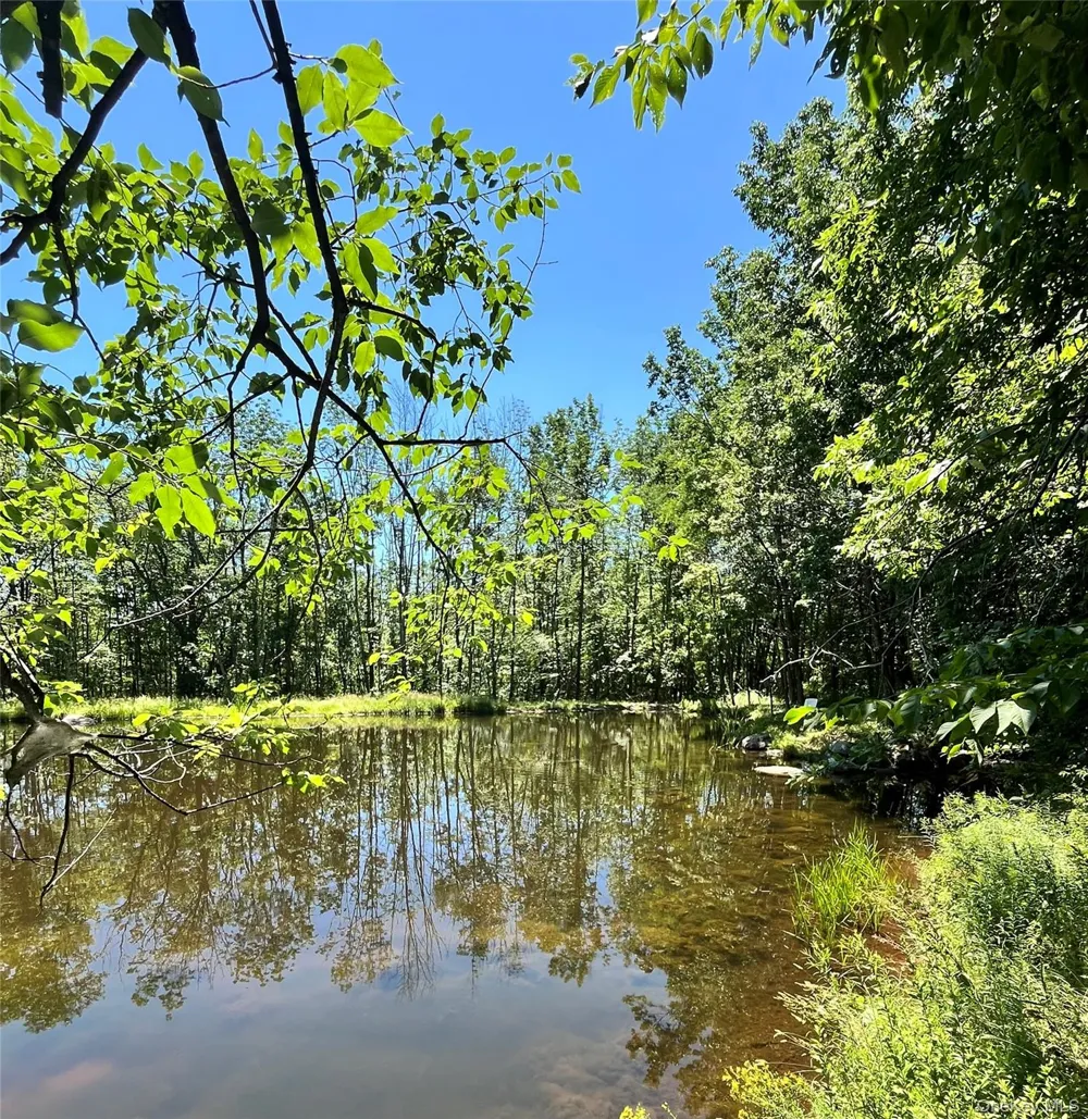 Upper Pond Dahlia Road W Livingston Manor, NY 12758