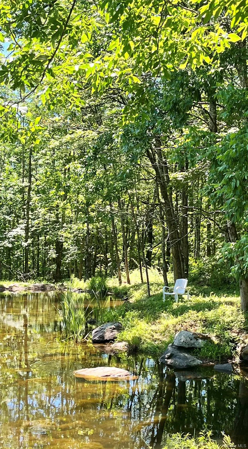 Upper Pond Dahlia Road W Livingston Manor, NY 12758