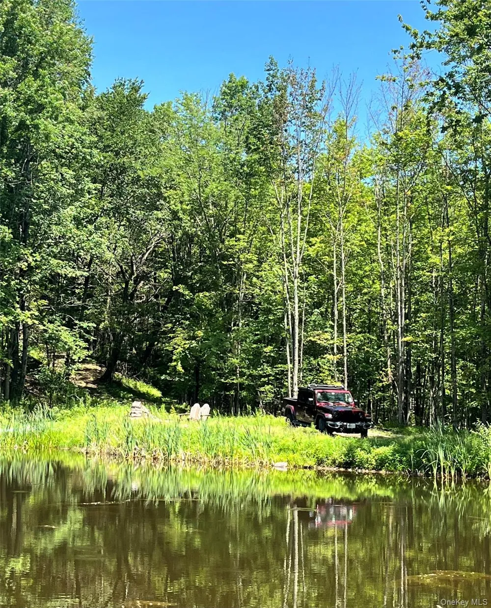 Upper Pond Dahlia Road W Livingston Manor, NY 12758