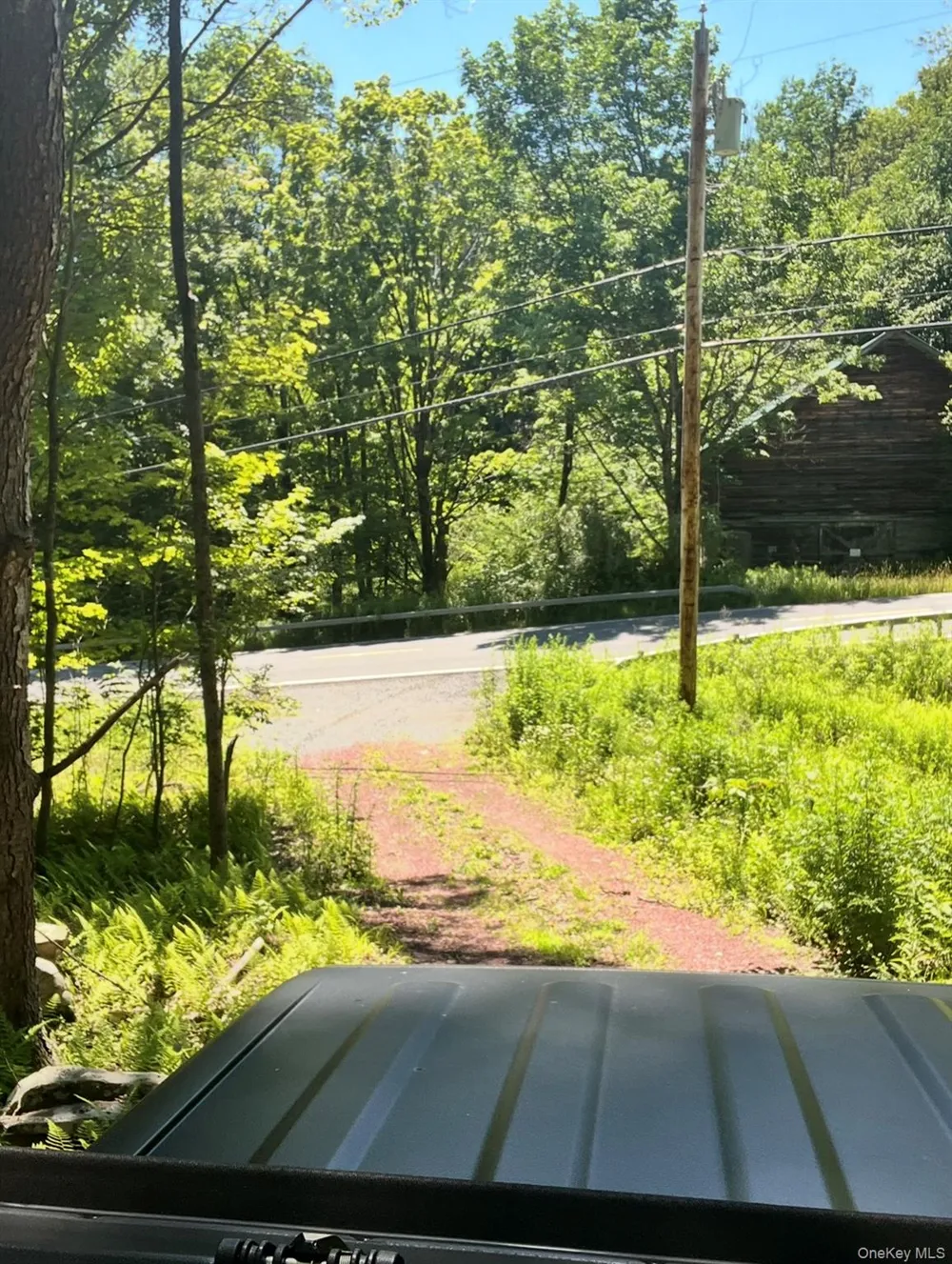 Upper Pond Dahlia Road W Livingston Manor, NY 12758