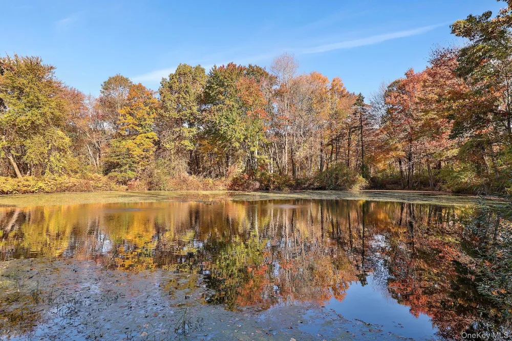 32 School Street #A Armonk, NY 10504