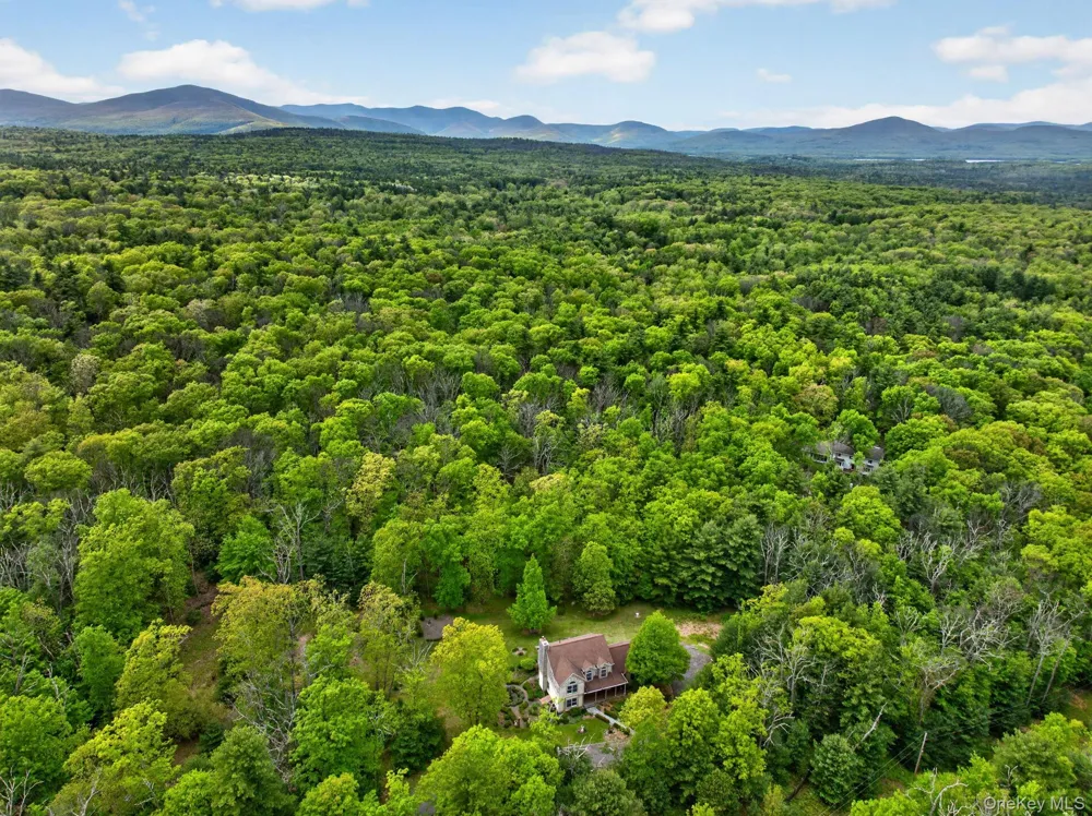 189 Bush Road Stone Ridge, NY 12484