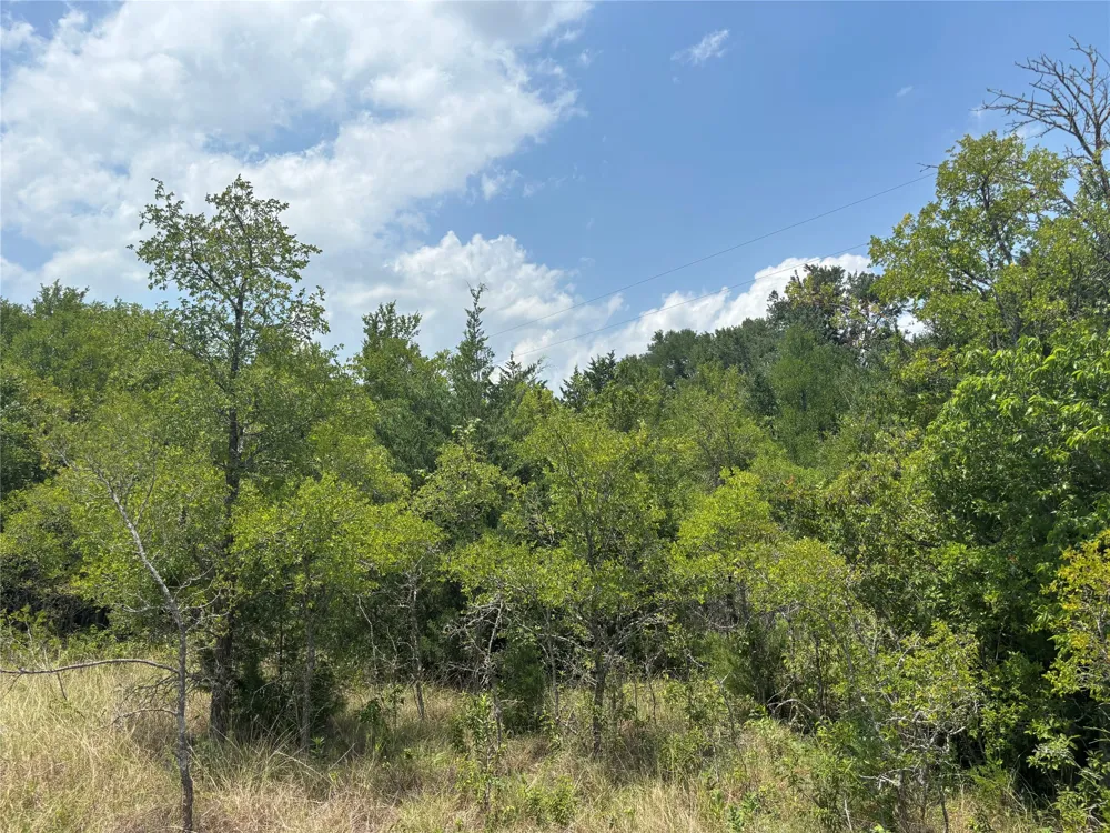 1500 Bottoms East Road Troy, TX 76579