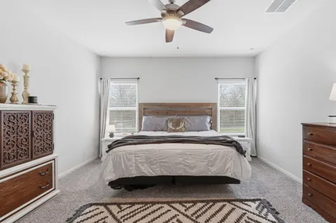 26582 Armadillo Drive