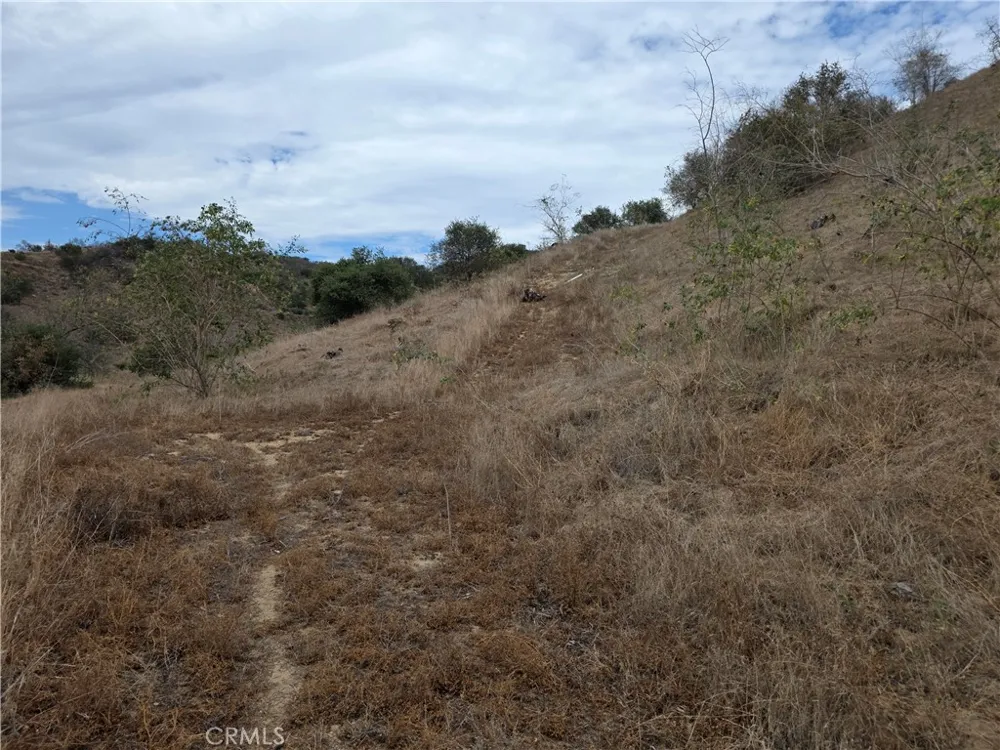 Live Oak Creek Circle Fallbrook, CA 92028
