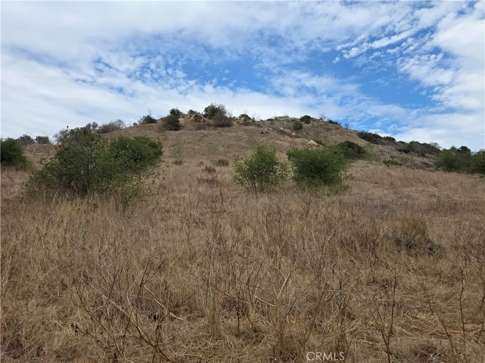 Live Oak Creek Circle Fallbrook, CA 92028