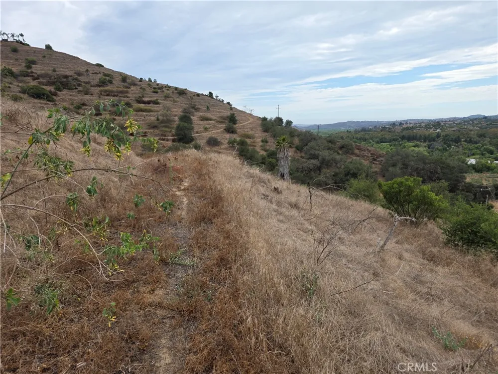 Live Oak Creek Circle Fallbrook, CA 92028