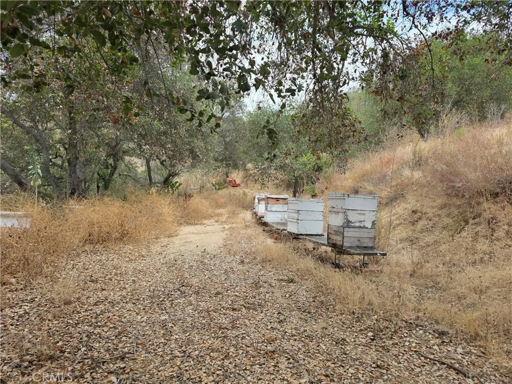Live Oak Creek Circle Fallbrook, CA 92028