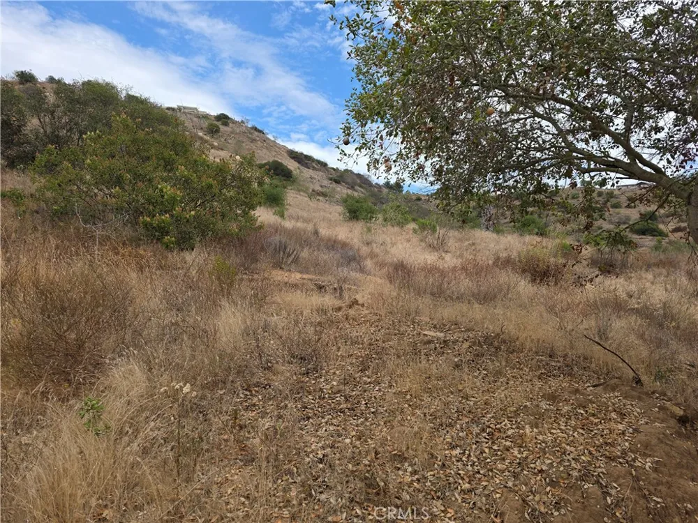 Live Oak Creek Circle Fallbrook, CA 92028