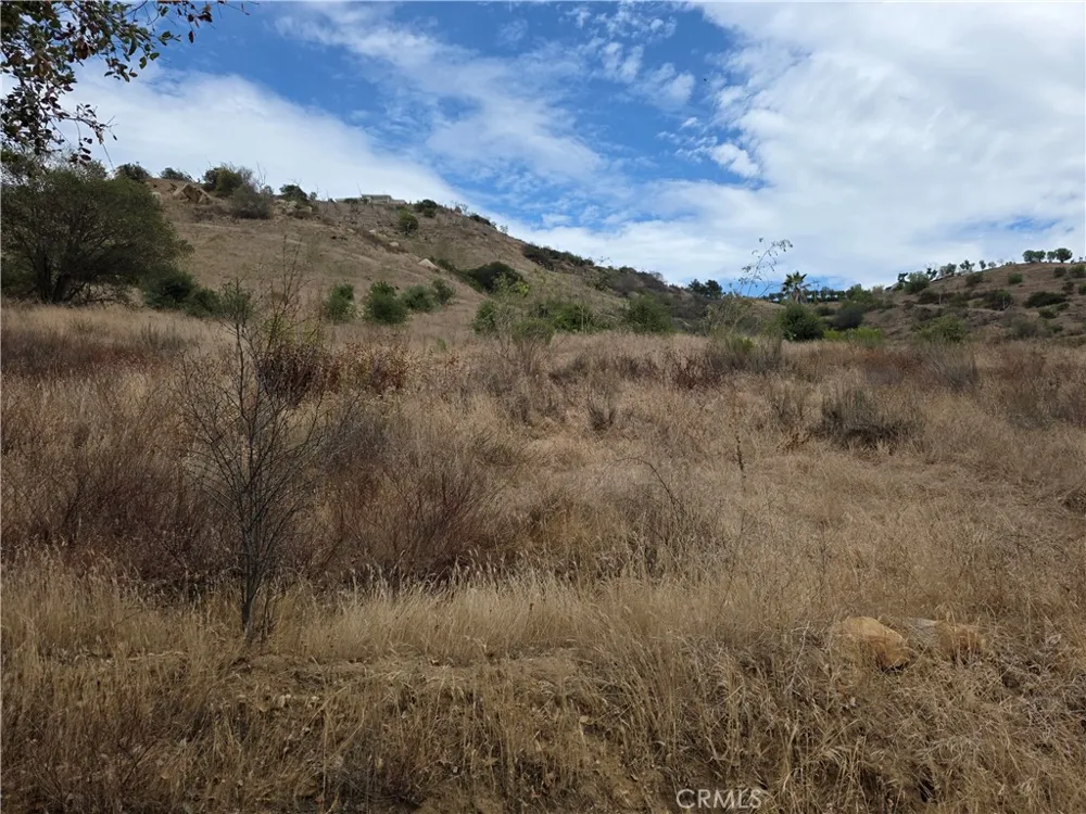 Live Oak Creek Circle Fallbrook, CA 92028