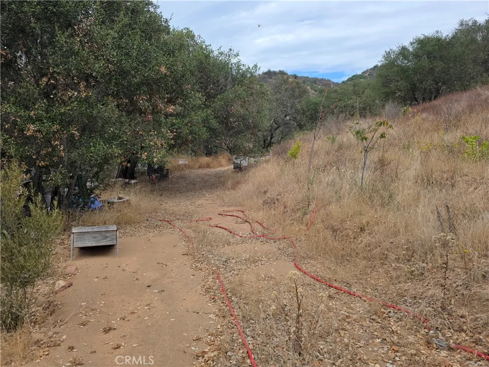 Live Oak Creek Circle Fallbrook, CA 92028