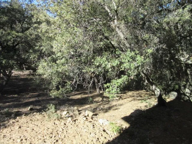 2239 Bernina Pine Mountain Club, CA 93222