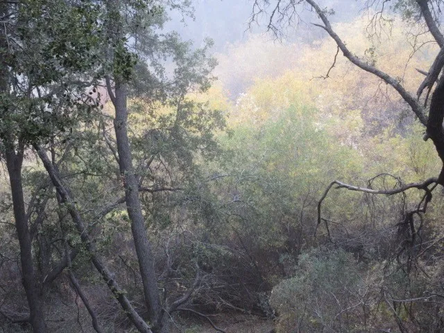 2239 Bernina Pine Mountain Club, CA 93222