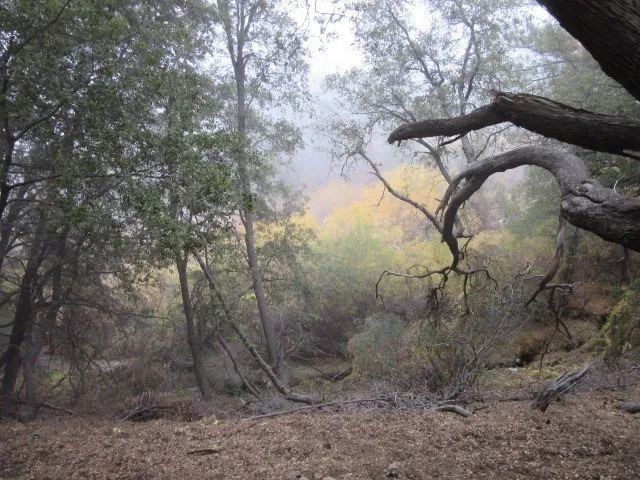 2239 Bernina Pine Mountain Club, CA 93222