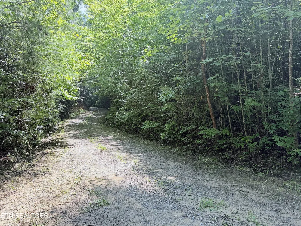 438 Country Square Rd Newport, TN 37821