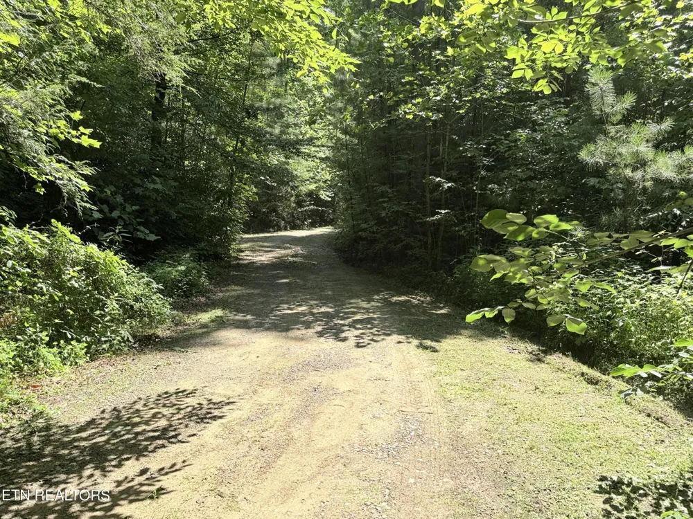 438 Country Square Rd Newport, TN 37821