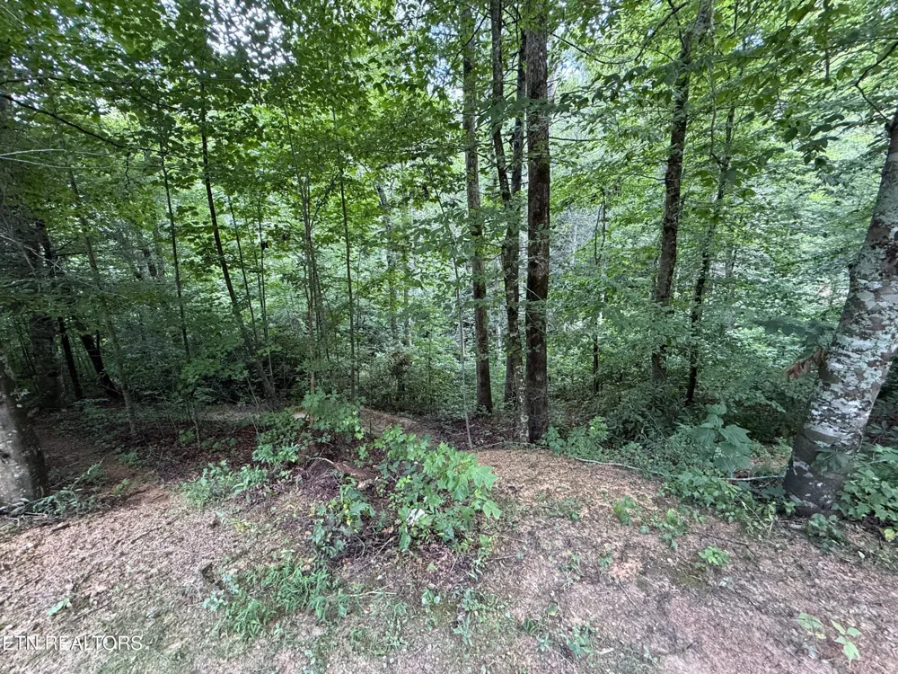 438 Country Square Rd Newport, TN 37821