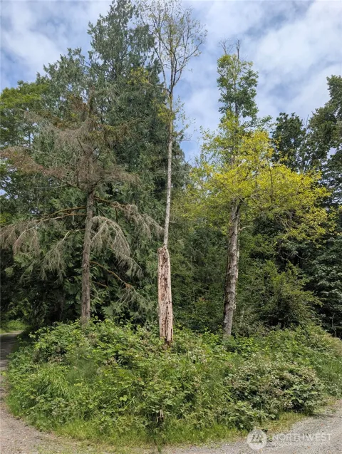 25314 Ebey Mountain Road