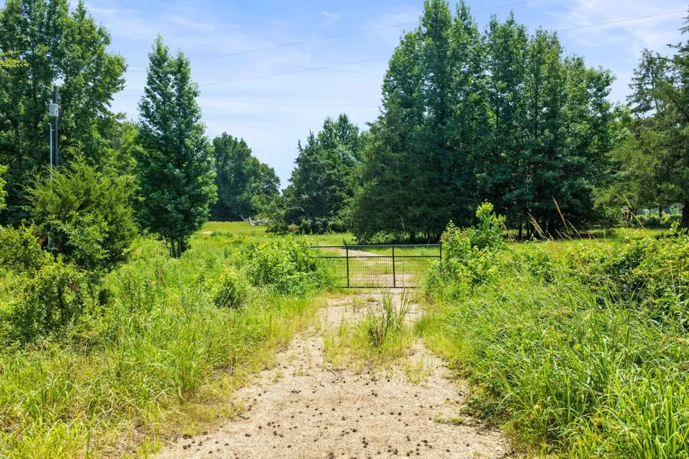 SW CR 3010 Mount Vernon, TX 75457