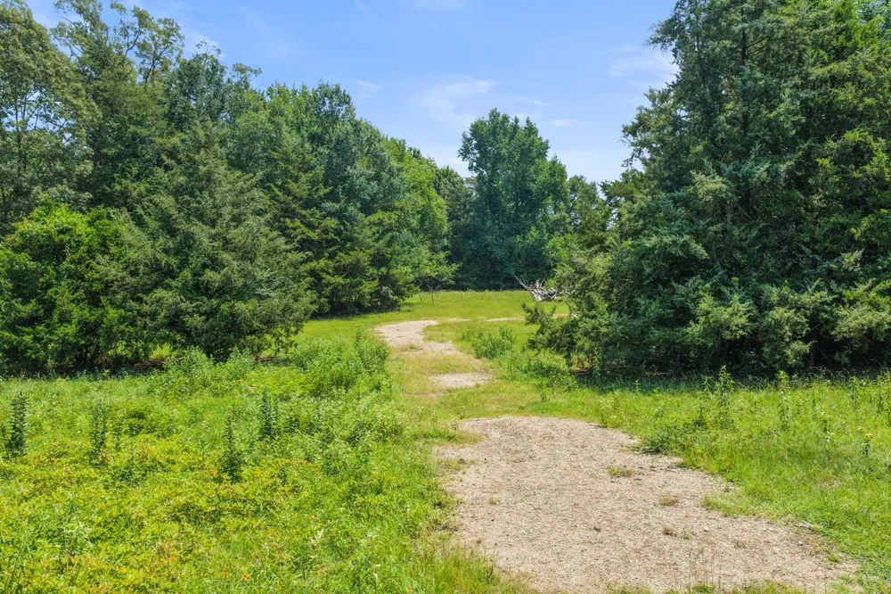 SW CR 3010 Mount Vernon, TX 75457