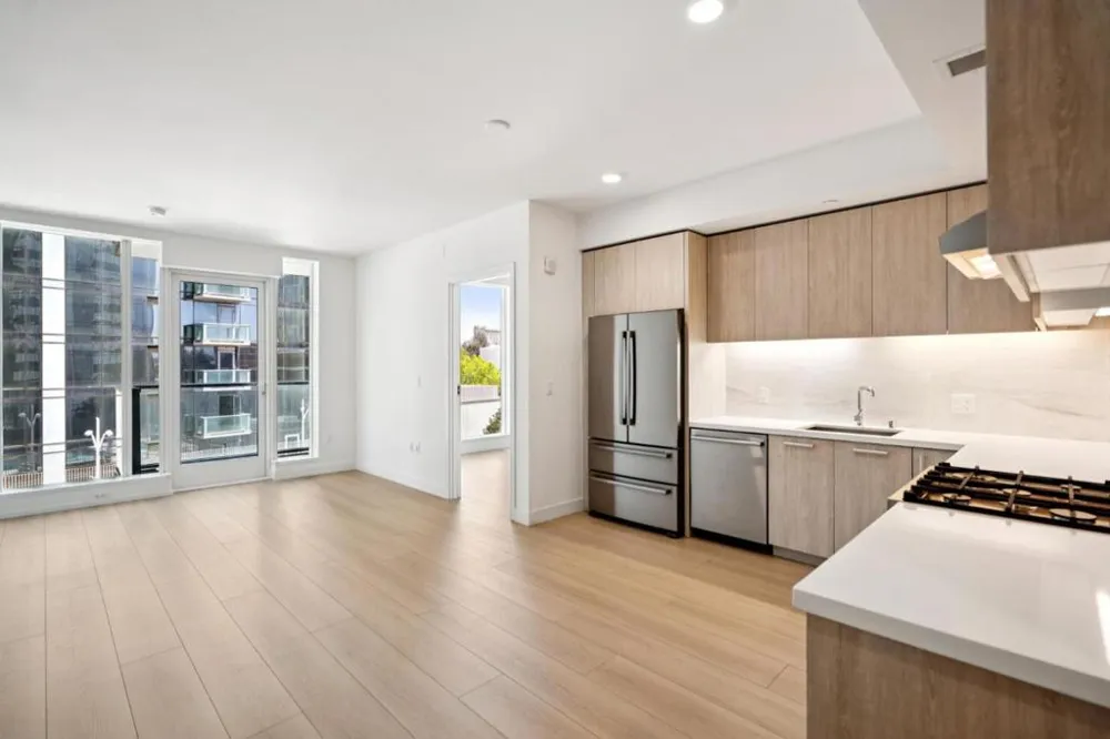 188 W Saint James Street #11315 San Jose, CA 95110
